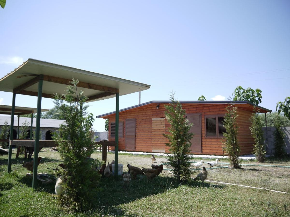 Windmill Gesthouse & Grill Camping *