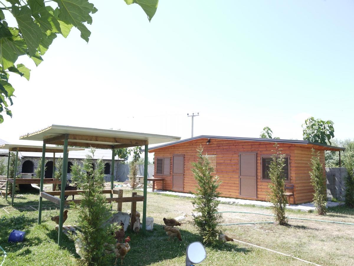 Windmill Gesthouse & Grill Camping Shkodër