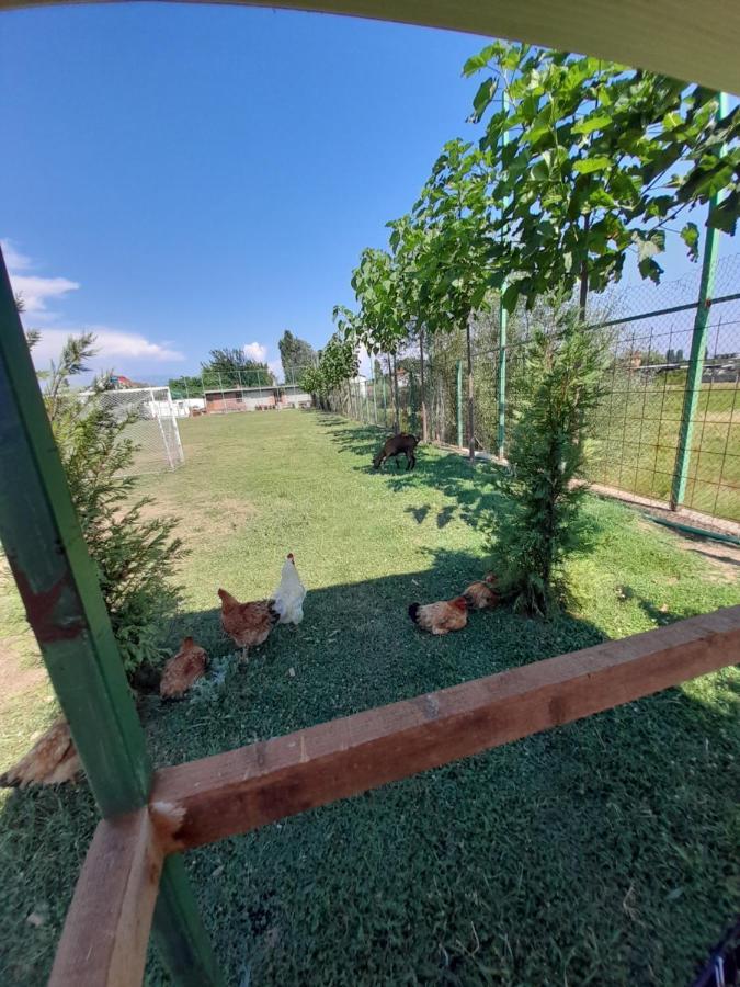 Campsite Windmill Gesthouse & Grill Shkoder